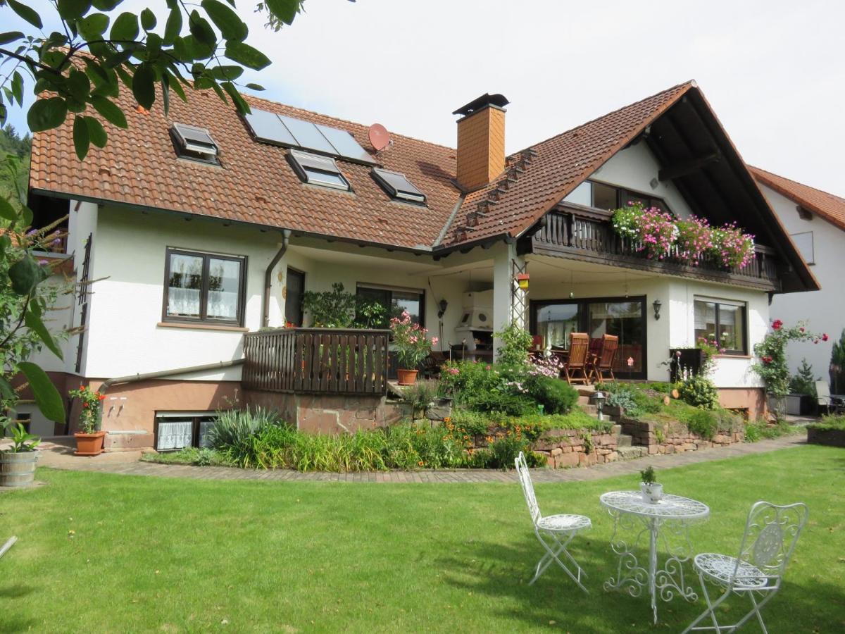 Ferienwohnungen Haus Albert Großheubach المظهر الخارجي الصورة