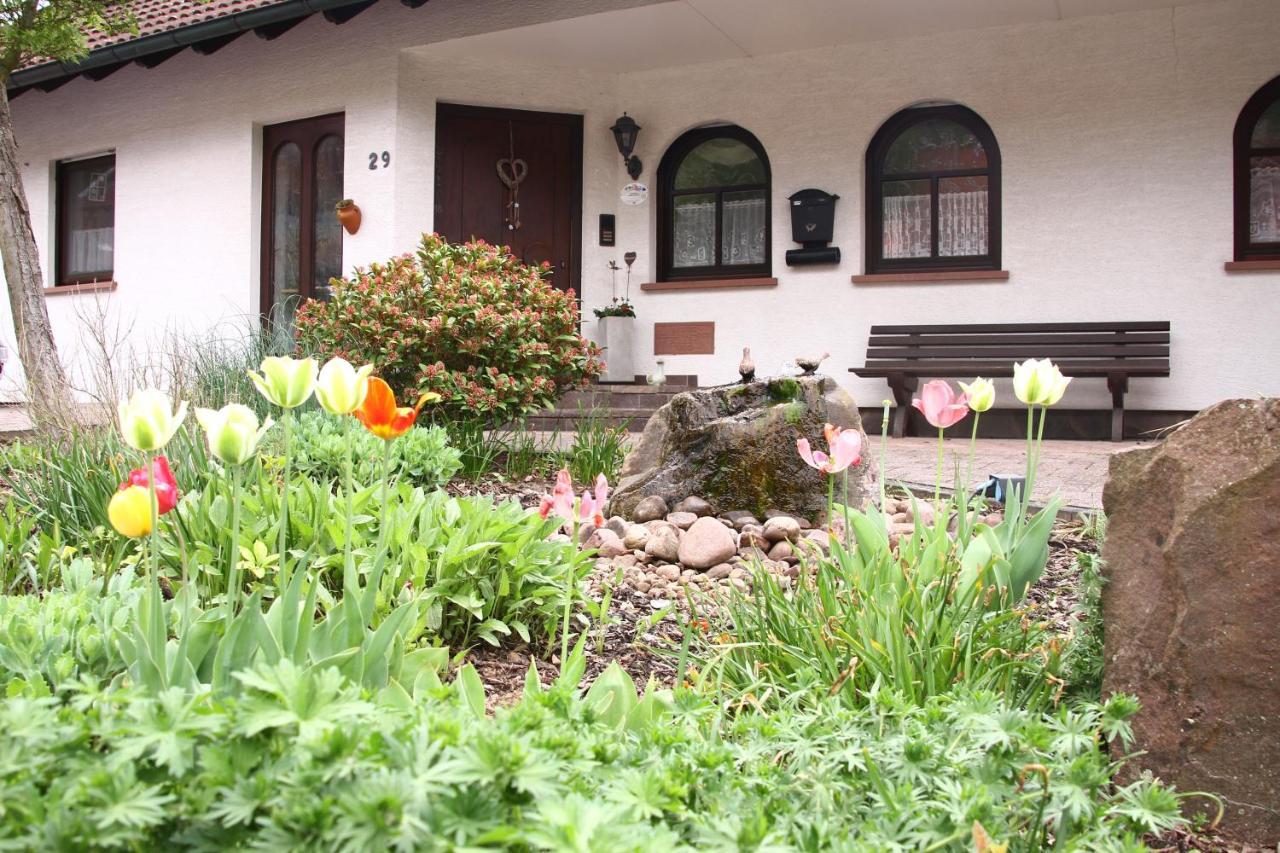 Ferienwohnungen Haus Albert Großheubach المظهر الخارجي الصورة