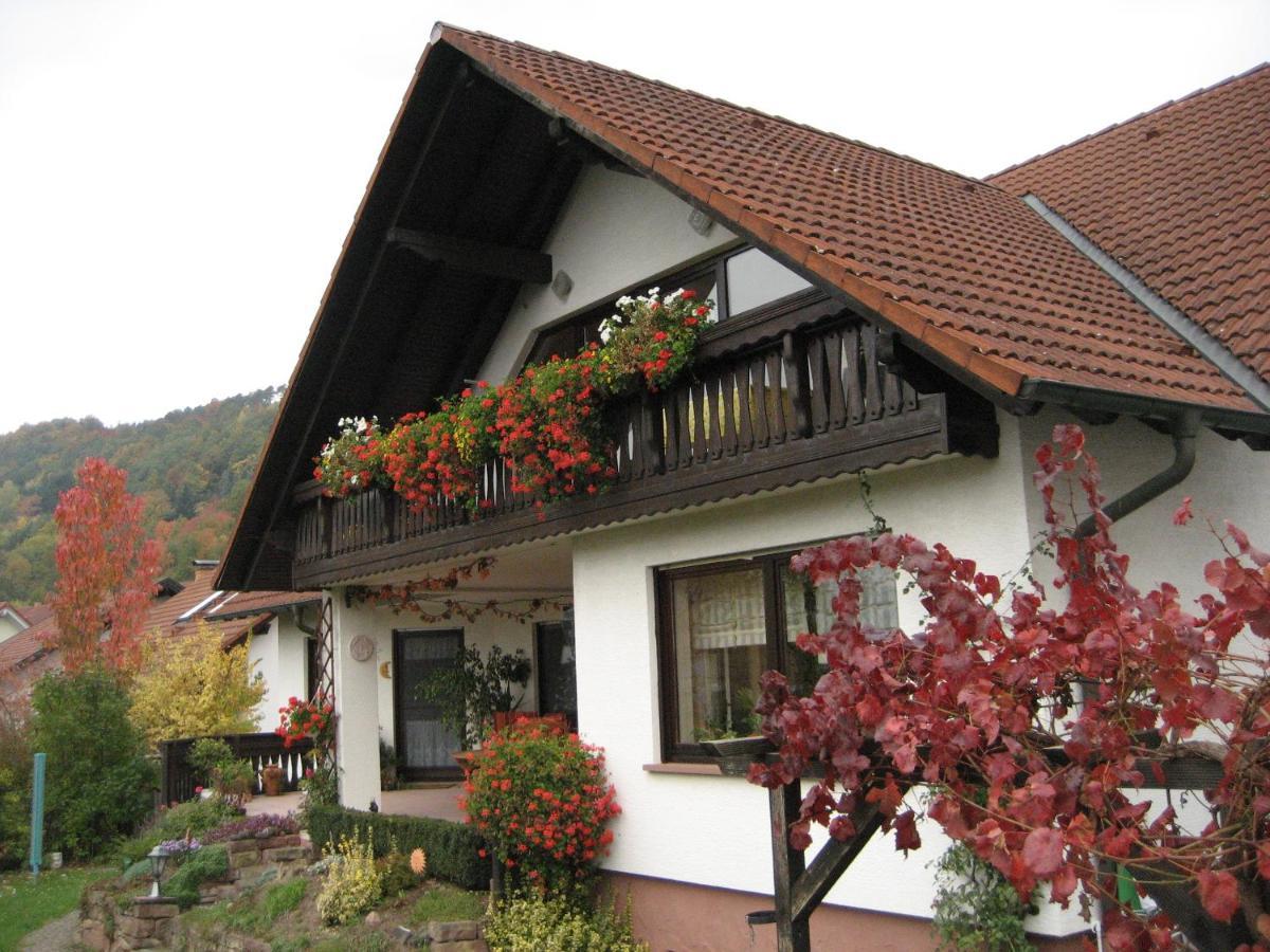 Ferienwohnungen Haus Albert Großheubach المظهر الخارجي الصورة