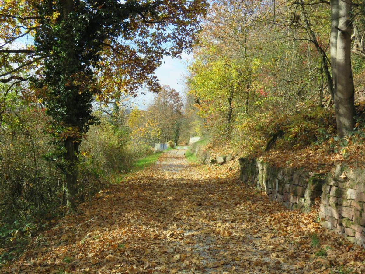 Ferienwohnungen Haus Albert Großheubach المظهر الخارجي الصورة