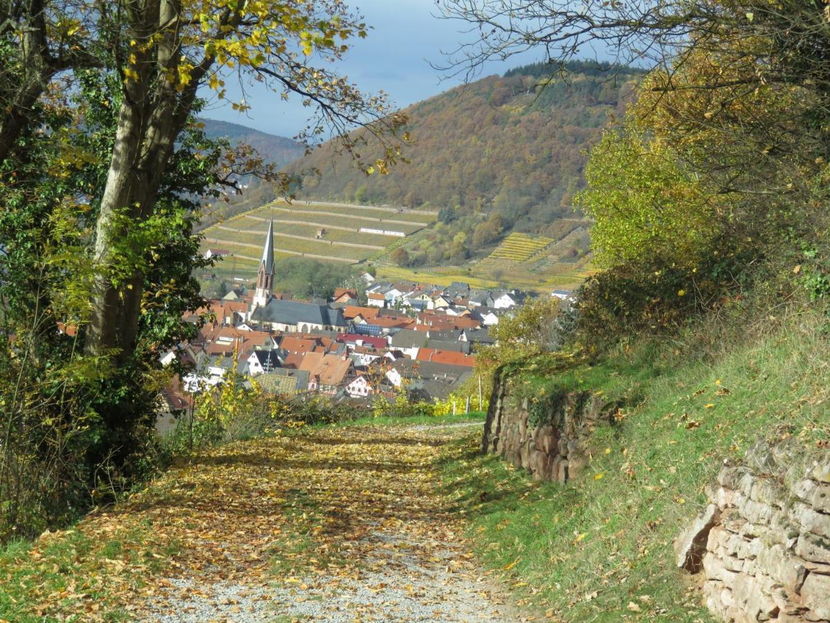 Ferienwohnungen Haus Albert Großheubach المظهر الخارجي الصورة