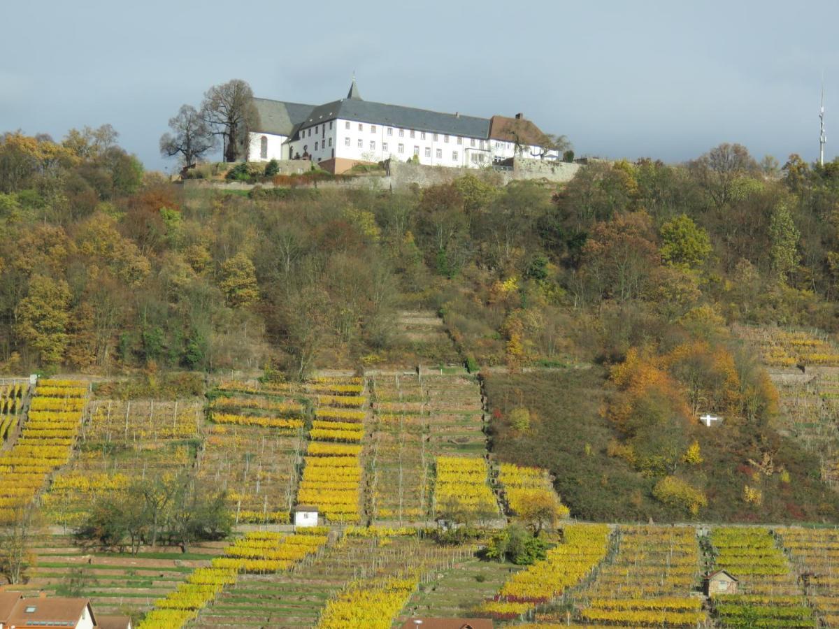 Ferienwohnungen Haus Albert Großheubach المظهر الخارجي الصورة
