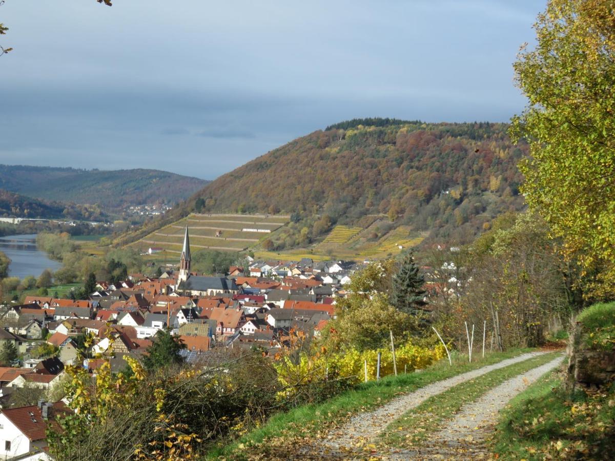 Ferienwohnungen Haus Albert Großheubach المظهر الخارجي الصورة